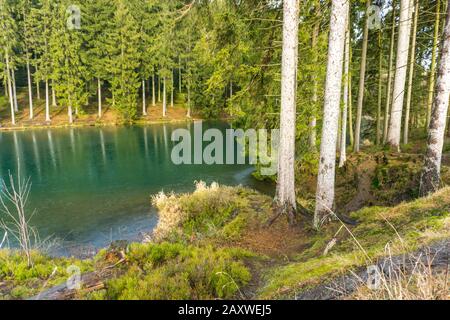 Der Grumbacher Teich bei Hahnenklee-Bockswiese, Goslar, Niedersachsen, Deutschland Grumbacher Teich neari Hahnenklee-Bockswiese, Goslar, Lowe Stockfoto