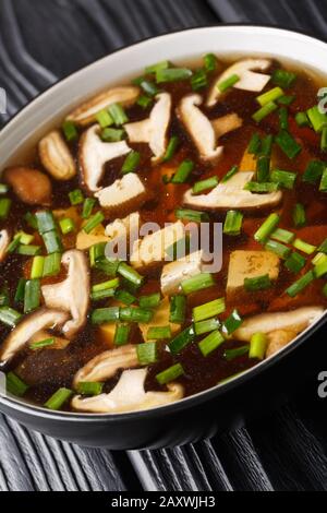 Japanische Miso-Suppe mit Shiitake-Pilzen, Tofu und grünen Zwiebeln in einer Schüssel auf dem Tisch. Vertikal Stockfoto