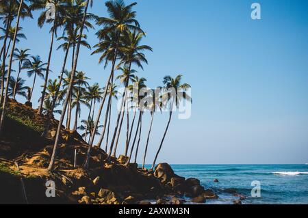 Kokosnuss Hügel in der Mirissa Bucht in Sri lanka. Beliebter Touristenort für romantischen Sonnenaufgang und Sonnenuntergang. Schildkrötenstrand. Stockfoto