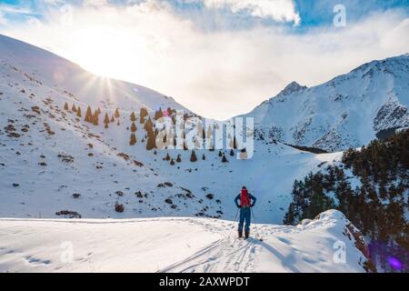 Ein Mann in den Bergen. Skitouren auf einem geteilten Snowboard. Ein Mann steht mit dem Rücken zum Betrachter und blickt auf die Berglandschaft. Wintersport. Stockfoto