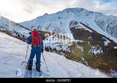 Ein Mann in den Bergen. Skitouren auf einem geteilten Snowboard. Ein Mann steht mit dem Rücken zum Betrachter und blickt auf die Berglandschaft. Wintersport. Stockfoto