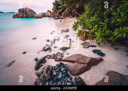 La Digue Island, Seychellen. Wunderschöner, exotischer tropischer Strand mit exotischen Pflanzen am Abend bei Sonnenuntergang Stockfoto