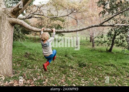 Vorschulkinder, die von einem Baumzweig in Neuseeland schwingen Stockfoto