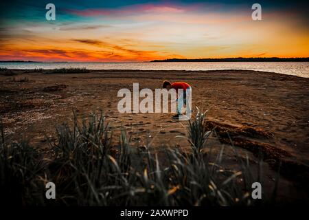 Junge sammeln Muschel bei Sonnenaufgang an einem Sommertag Stockfoto