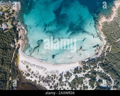 Blick auf den Strand Grande Pevero in Costa Smeralda, Nordsardinien, Porto Cervo Stockfoto