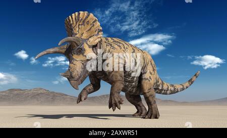 Triceratops, Dinosaurier Reptilienstechen, prähistorische Juratiere in menschenleerer Natur, 3D-Illustration Stockfoto