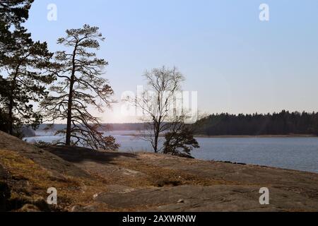 Schöne Landschaft aus Südfinnland. Es gibt Ostsee, klaren blauen Himmel, einige Felsen und Bäume. Die Felsen sind mit Flechten und Debri bedeckt. Stockfoto