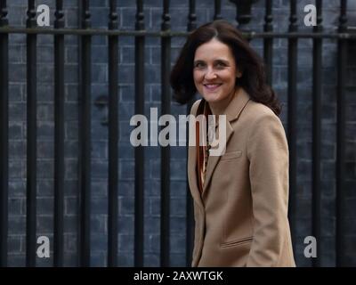 London, Großbritannien. Februar 2020. Staatssekretärin für Umwelt, Ernährung und ländliche Angelegenheiten Theresa Villiers, die zur wöchentlichen Kabinettssitzung in die Downing Street eintrifft. Stockfoto