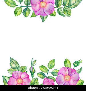 Aquarell, quadratischer Rahmen mit Rosettenhüften. Rosa Blumen, Blätter, Knospen und Blumenstrauß isoliert auf weißem Hintergrund mit Platz für Text. Für den Hochzeitsdruck Stockfoto