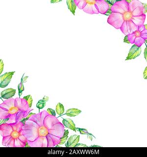 Aquarell, quadratischer Rahmen mit Rosettenhüften. Rosafarbene Blumen, Blätter in den Ecken mit Platz für Text. Für Hochzeitsdruck und soziale Netzwerke. Rosa c Stockfoto