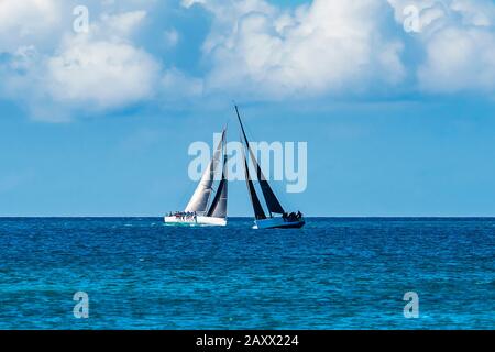 Zwei Rennyachten keeling Over am Grand Anse Beach, St George's, Grenada Stockfoto