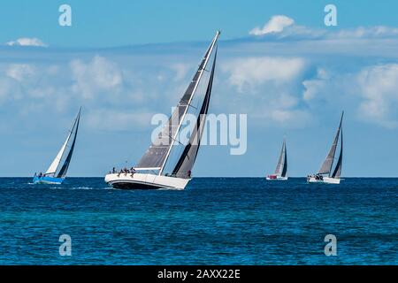 Vier Rennyachten keeling Over am Grand Anse Beach, St George's, Grenada Stockfoto