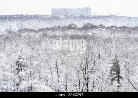 Blick auf den verschneiten Wald und das große Apartmentgebäude am Horizont im überwölbten Wintertag Stockfoto