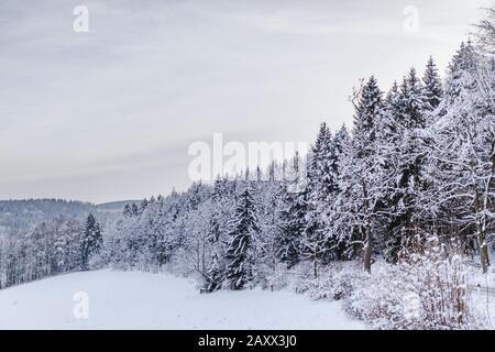 Blick auf den Wald und die im Winter schneebedeckten Berge Stockfoto