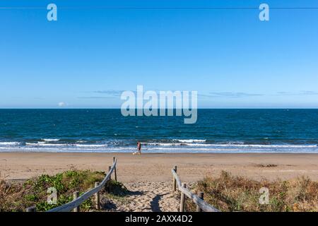 Mann und Hund am Strand, Queens Beach, Queensland, Australien Stockfoto