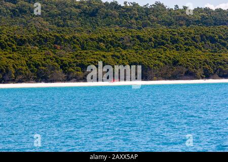 Hubschrauber in Whitehaven Beach auf Whitsunday Island, Queensland, Australien Stockfoto