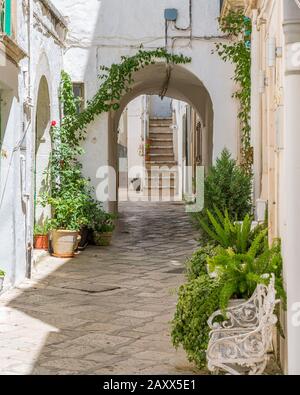 Schöne Aussicht auf Martina Franca an einem sonnigen Sommermorgen, Provinz Taranto, Apulien, Süditalien. Stockfoto