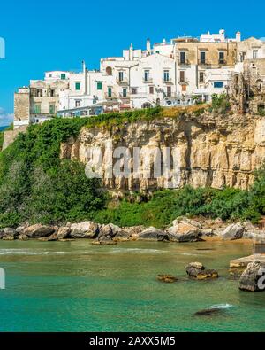 Die schöne Küste von Vieste, Provinz Foggia, Apulien, Italien. Stockfoto