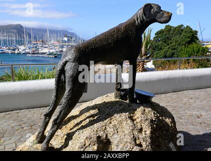 Statue des Able Seaman Just Nuisance (Künstler Jean Doyle) der einzige Hund, der jemals in der Royal Navy eingetragen wurde. Jubilee Square, Simons Stadt, Südafrika Stockfoto