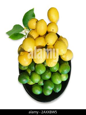 Frische organische Gruppe von Zitronen und Limonen isoliert auf weißem Hintergrund. Stockfoto