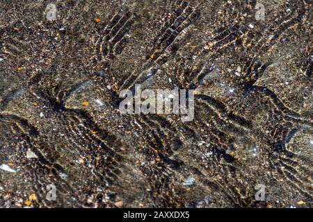 Nahaufnahme von abwelligen Gewässern an einem Strand aus schwarzem vulkanischem Sand, Stockfoto