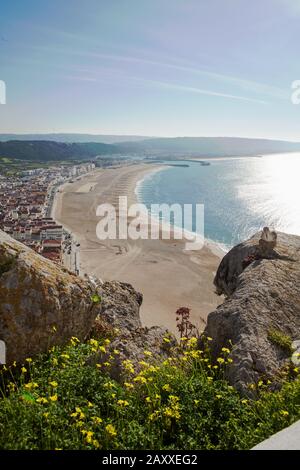 Der Strand vor Nazare ist breit. Vor allem in der Nebensaison gibt es viel Platz. Praia mit Blick auf Sitio. Stockfoto