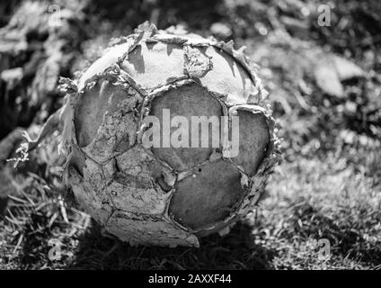 Alter zerfallen verlassener Fußball Stockfoto