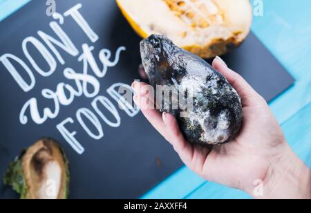 Nahaufnahme der weiblichen Hand, die einen schimmeligen Avocado auf einem Schwarzen Brett hält, ohne Lebensmittelschrift und verrottete Früchte zu verschwenden. Selektiver Fokus Stockfoto