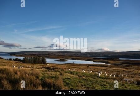 Sonnenuntergang über Loch Shin, West Sninness Stockfoto