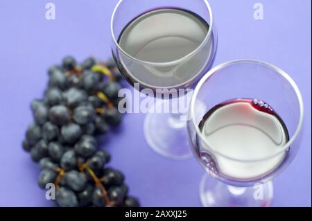 Zwei Gläser Rotwein mit einem Trauben über violettem Hintergrund in einem Weinanbaukonzept, hochwinkelig Stockfoto
