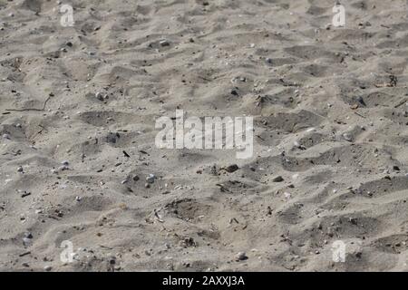 Sand mit kleinen Kieselsteinen am Strand Stockfoto