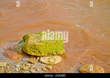 Schmutzwasser ökologische Katastrophe. Schmutzwasser mit Moos. Stockfoto