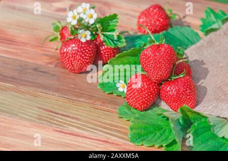Erdbeeren in Holz-Vintage-Tisch. Erdbeeren auf Holzgrund. Reife Erdbeeren auf Holztisch mit Kopierraum. Stockfoto