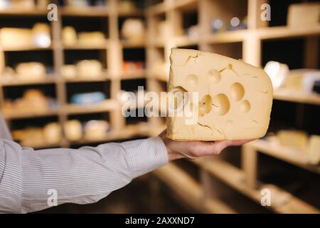 Hansome Mann hält große Scheibe Käse maasdam in der Hand. Käse mit großen Löchern. Hintergrund der Regale mit Käse Stockfoto