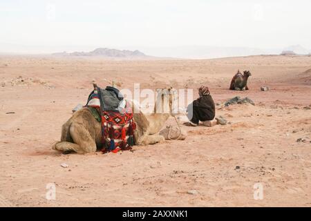 Jordanien. Dezember 2009. In der Nähe seiner Kamelherde in der Wüste Wadi Rum in Jordanien ruht ein Beduinenkammelherder Stockfoto