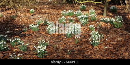 Anglesey Abbey, Lode, Cambridge, Großbritannien Stockfoto