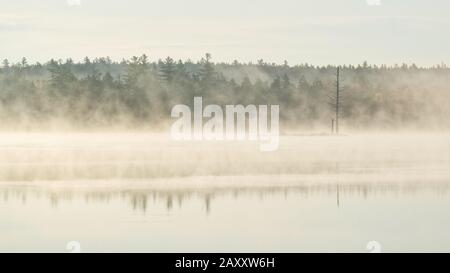 Morgennebel auf Nieren Teich, Baxter State Park, Maine Stockfoto