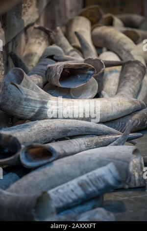 Haufen tierischer Tusken zum Verkauf im lokalen Geschäft auf dem Markt in der Altstadt von Fenghuang, Provinz Hunan, China Stockfoto