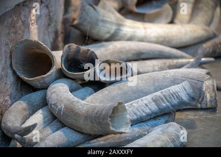 Haufen tierischer Tusken zum Verkauf im lokalen Geschäft auf dem Markt in der Altstadt von Fenghuang, Provinz Hunan, China Stockfoto