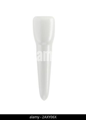 Schneidezahn auf weißem Grund isoliert. 3D-Abbildung. Einzelobjekt. Stockfoto