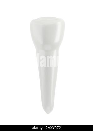 Prämolarenzahn isoliert auf weißem Grund. 3D-Abbildung. Einzelobjekt. Stockfoto
