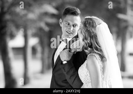 Brautpaar umarmte zärtlich beim Fotografieren im Park. Stockfoto