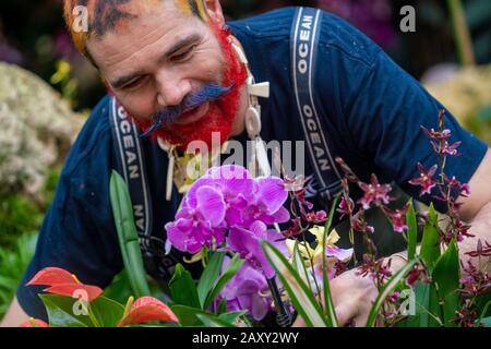 Kew Orchid Festival 2020: Indonesien. Das jährliche Orchideenfest im indonesischen Land sieht über 5.000 bunte Orchideen und tropische Pflanzen. Stockfoto