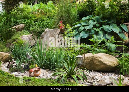 Felsenbett mit Agave, Kakteen - Saftige und Hosta-Pflanzen im Hinterhofgarten im Sommer. Stockfoto