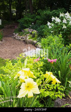 Felsenrand mit gelbem und rosafarbenem Hemerocallis - Daylilienblüten im Garten im Hinterhof im Sommer. Stockfoto