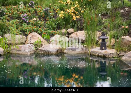 Teich mit Pagodenplastik, Typha latifolia - Common Cattails, Pondeteria cordata - Pickerel-Unkraut-Pflanzen, die von orangefarbenen Hemerocallis begrenzt werden - Daylien. Stockfoto