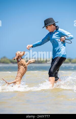 Ein Puppenstoß, der mit seinem Besitzer am Strand spielt. Der Hund springt in die Luft, um Algen zu fangen, die sein Besitzer hält Stockfoto