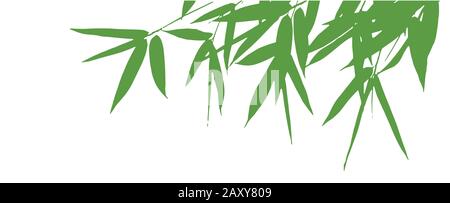 Abbildung der Silhouette von Bambus Stock Vektor