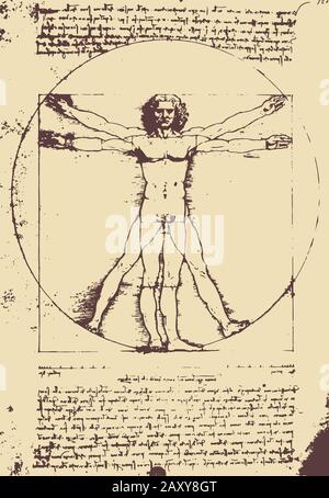 Vitruvian Man Illustration / Leonardo da Vinci Stock Vektor