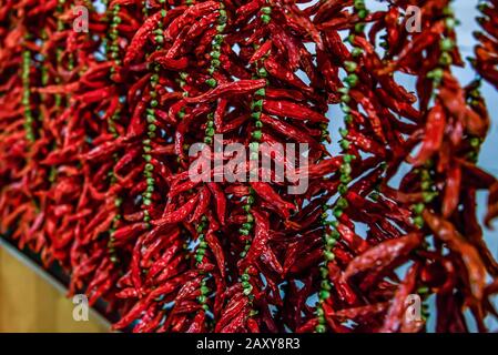 Nahaufnahme der hängenden heißen, getrockneten Chilischoten auf dem örtlichen Bauernmarkt Mercado dos Lavradores in Funchal Madeira. Stockfoto